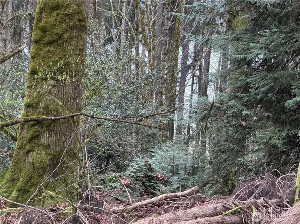 17680 Hallman Road NW, Poulsbo, WA 98370