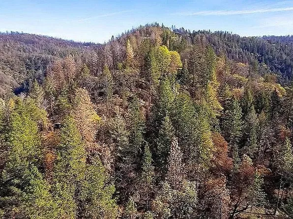 Toomes Camp Rd, Red Bluff, CA 96080