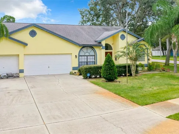 3358 Pattie Pl, Palm Harbor, FL 34685