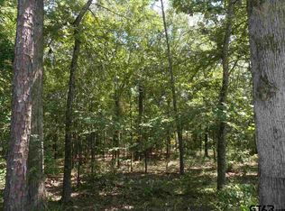 15367 NW Reserve Ct, Tyler, TX 75707