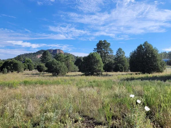 3983 Highway 35, Mimbres, NM 88049