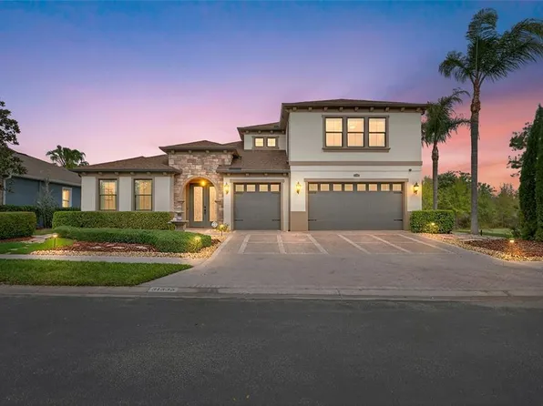31335 Driscoll Dr, Wesley Chapel, FL 33543