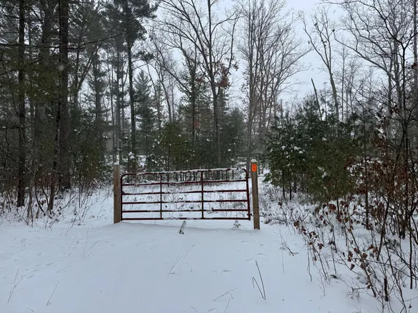 Stronach Dam Rd, Wellston, MI 49689