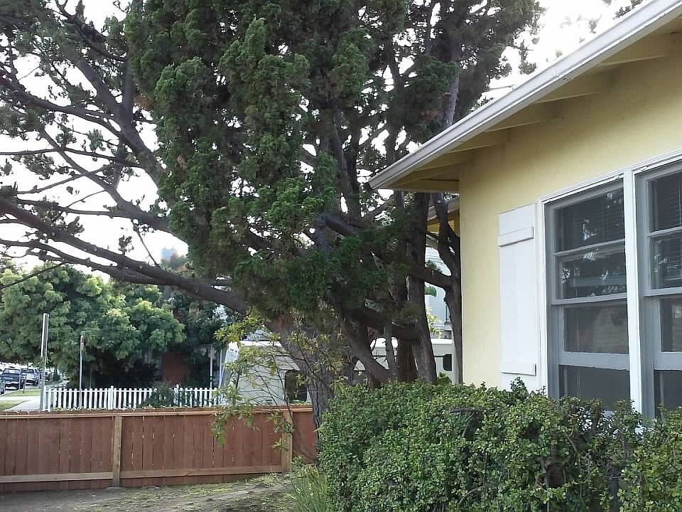1st image of 1301 Arizona Ave #1301
