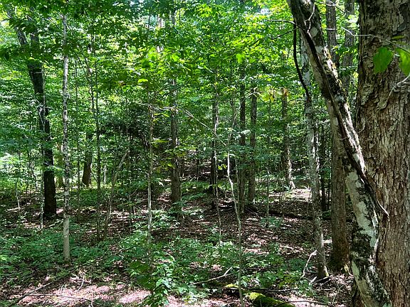 4th image of 1.1 Trout Run Dr