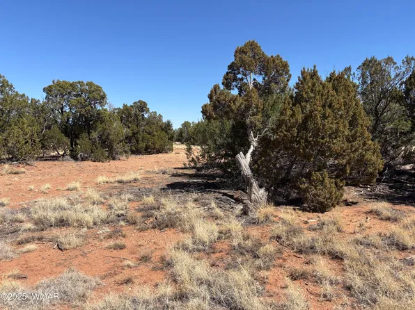 3527 Mill View Rd, Heber, AZ 85928