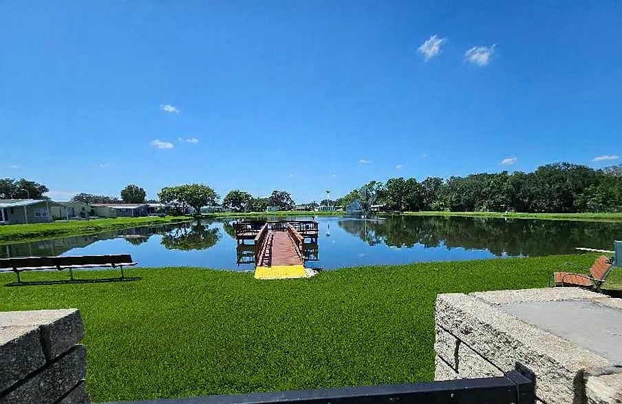 34425 Countryside Dr — Photo 3