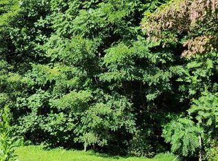 989 Mine Gap Rd #1, Zirconia, NC 28790