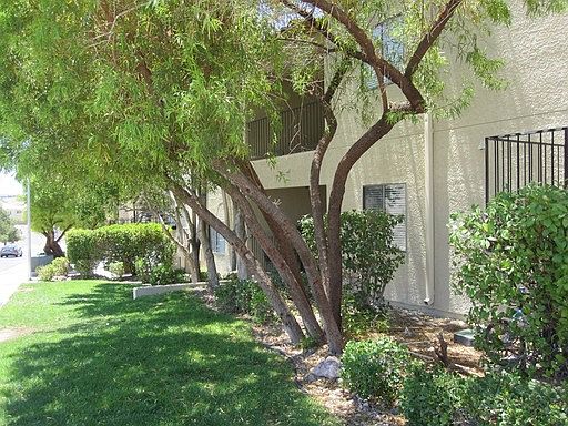 5th image of 1330 Georgia Ave APT 102