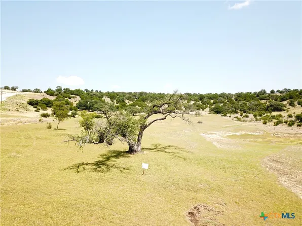 1644 Cottonwood Mesa Dr, Kempner, TX 76539
