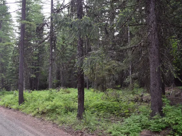 Cold Spring Loop, Weston, OR 97886
