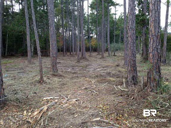 5th image of 3 S Bayou Dr