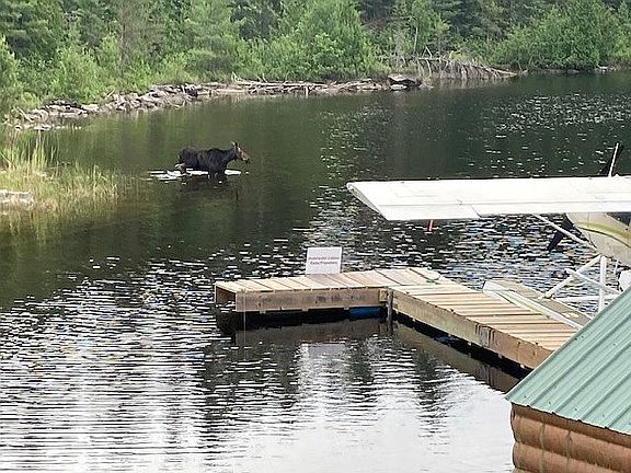 3rd image of 0 Northwestern Ontario Int Fls