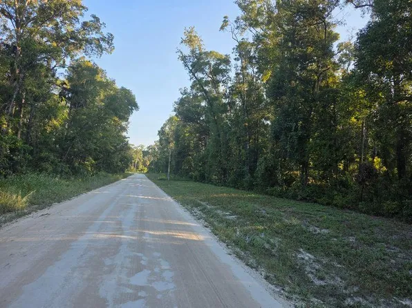 Lot 17 NE 386th Ave, Old Town, FL 32680