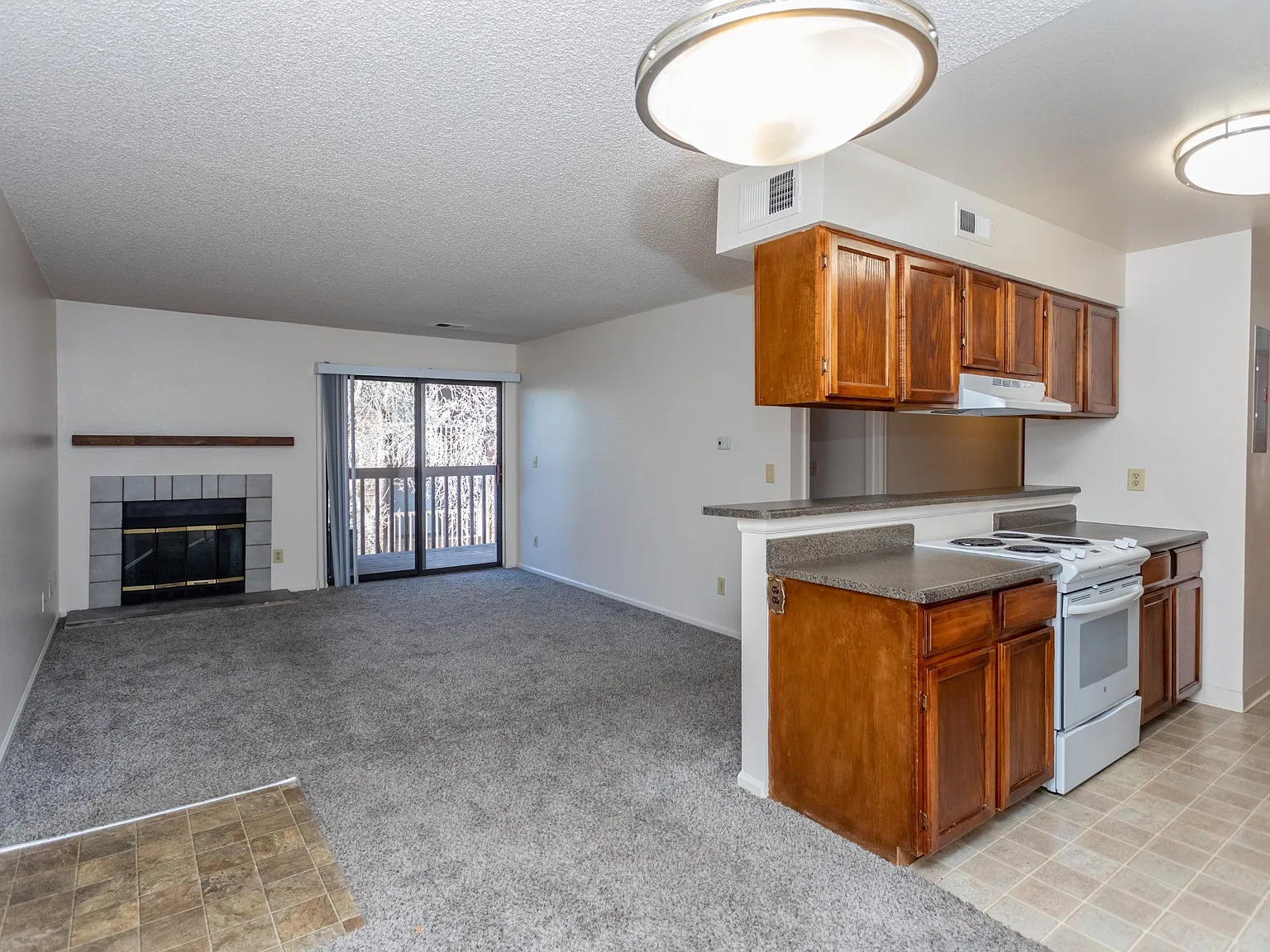 Palmetto Club Apartments — Photo 2