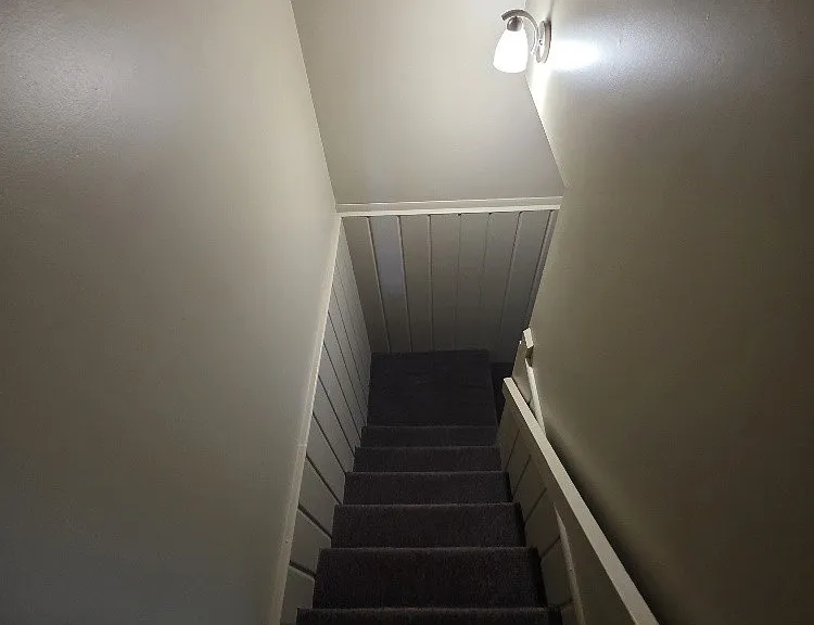 126 Jacksonian Dr — Photo 13