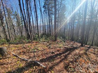 111 Digging Seng Trl #138, Waynesville, NC 28785