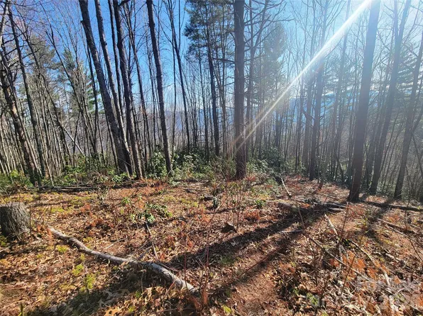 111 Digging Seng Trl #138, Waynesville, NC 28785