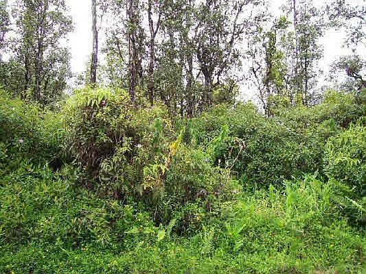1st image of Kahukai St Lot 19