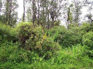 Kahukai St LOT 19, Pahoa, HI 96778