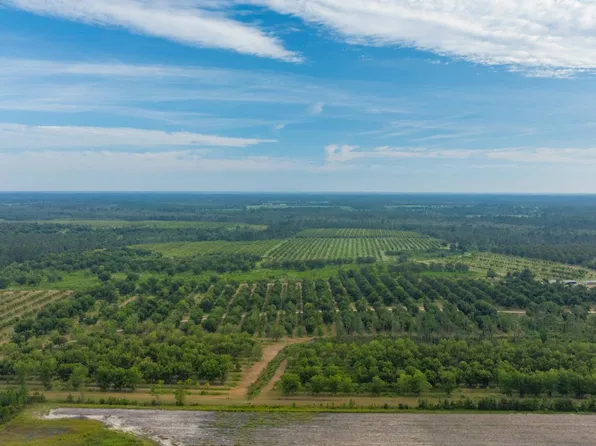 0 Nashville Hwy, Lakeland, GA 31635