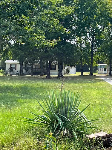 105 Whitetail Dr Photo 1