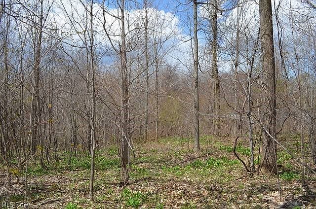 2nd image of Big Creek Ridge Dr