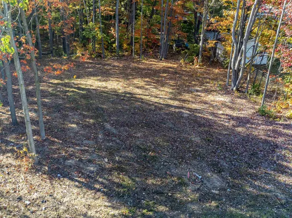 223 Alexander St, Cadillac, MI 49601