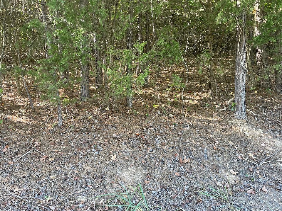 2nd image of 2463 Burton Rd