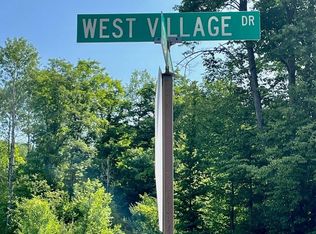 LOT 67 W Village Dr, Bellaire, MI 49615