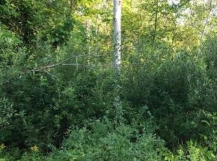 Nesson City Rd, Copemish, MI 49625