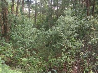 Citrus St LOT 7, Bunnell, FL 32110