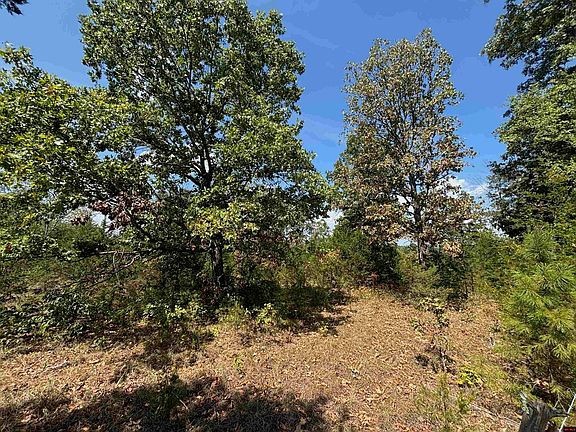 3rd image of TRACT 8 Little Woods Rd