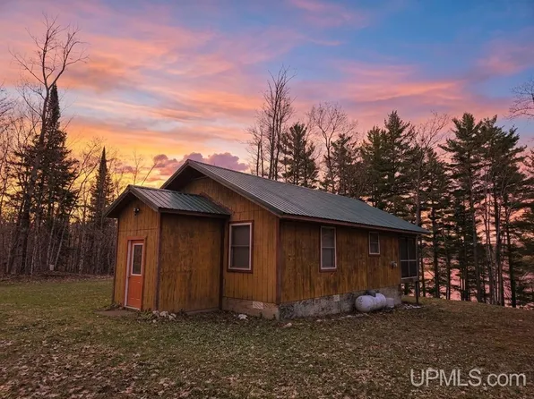 22783 E Carlson Camp Rd, Mc Millan, MI 49853