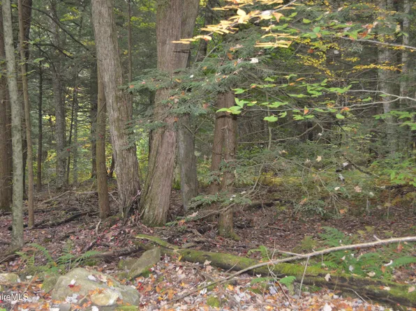 218-89 Moberg Rd, Becket, MA 01223