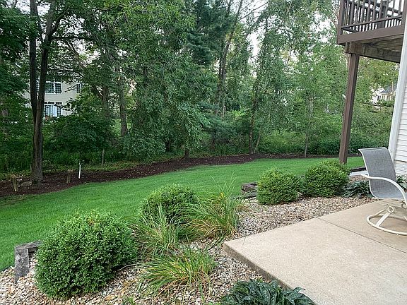 Back yard