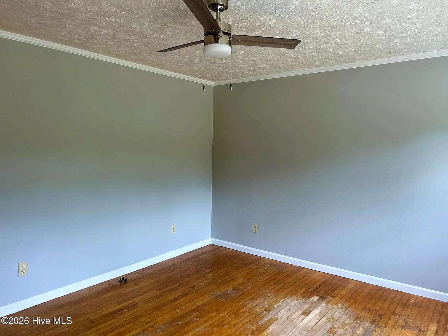 2 bed, 1.0 bath, $1,150 — Photo 3