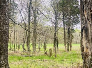 0 Thomasville Rd Lot 13, Chapmansboro, TN 37035