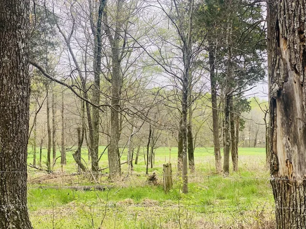 0 Thomasville Rd Lot 13, Chapmansboro, TN 37035