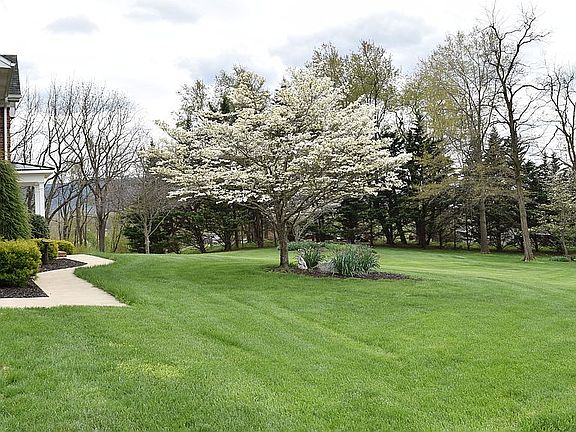 3rd image of 182 Labelle Dr