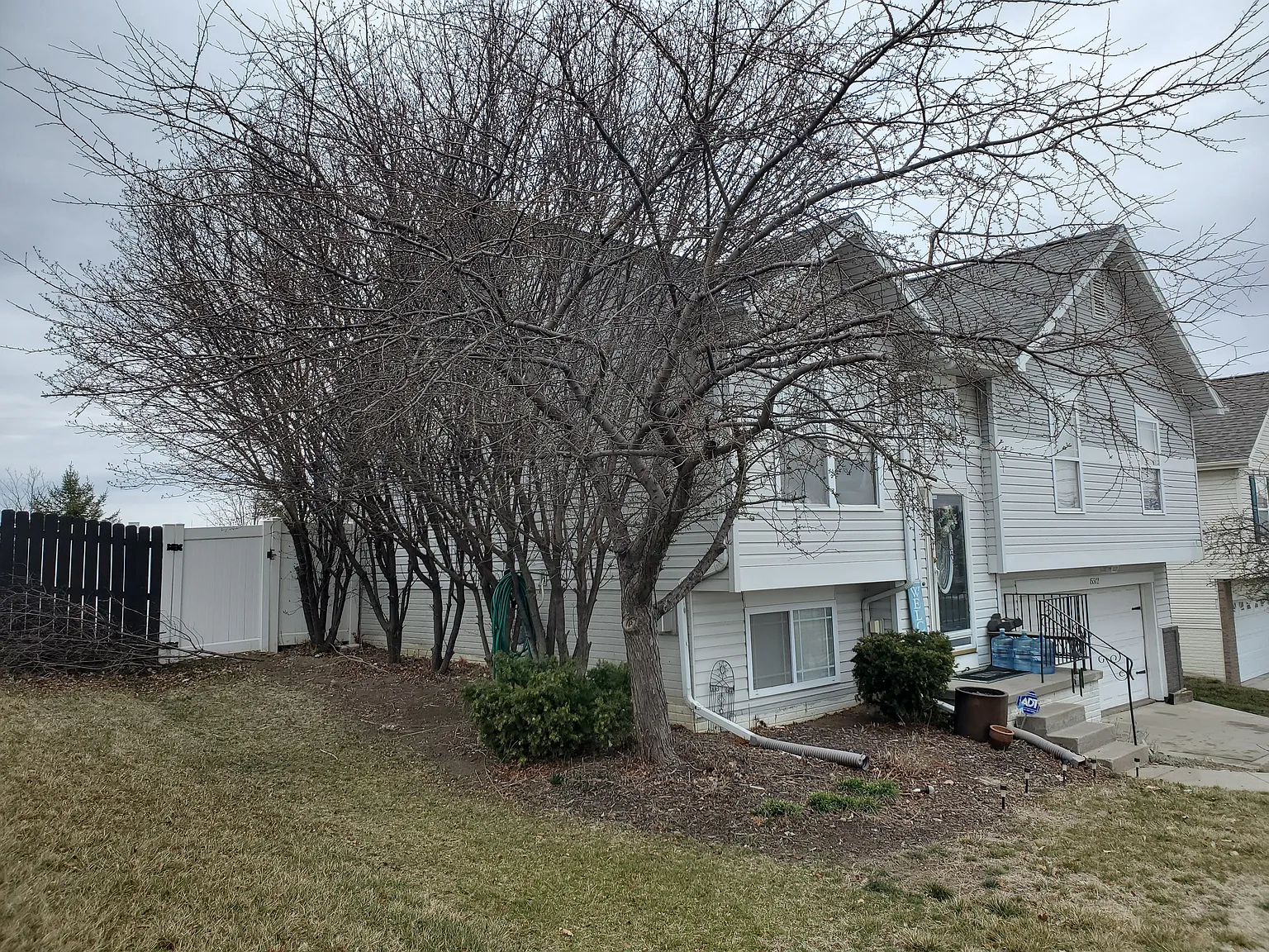 3 bed, 1113 sqft, $2,000 — Photo 2