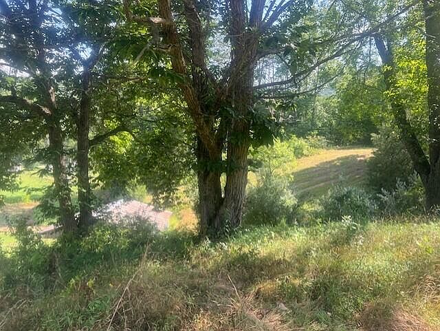 19th image of 10625 Brushy Rd