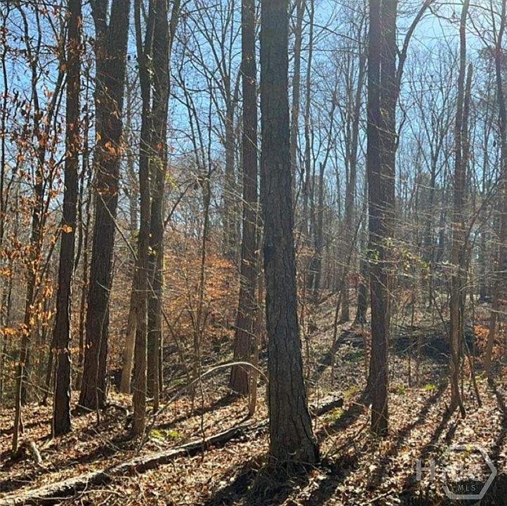 2nd image of 0 Long Leaf Drive