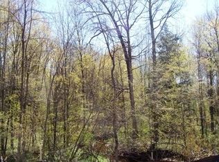 Woods Rd, Dunbar, WI 54119