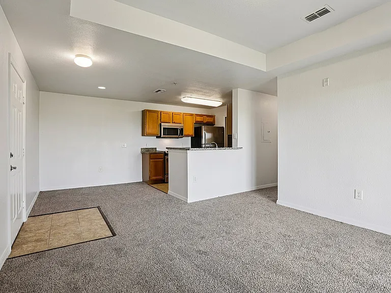 Modern open-concept living area with plush carpet and a sleek kitchen featuring wooden cabinetry and granite countertops.