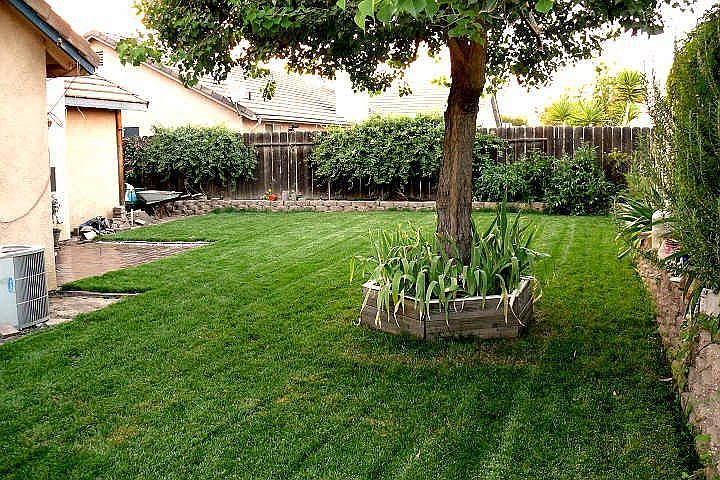 Backyard North