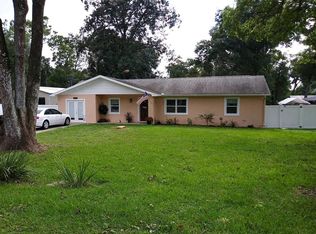 31411 Summit St, Sorrento, FL 32776