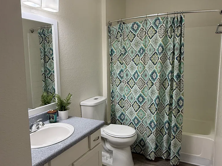 Silver Palms Apartments — Photo 7