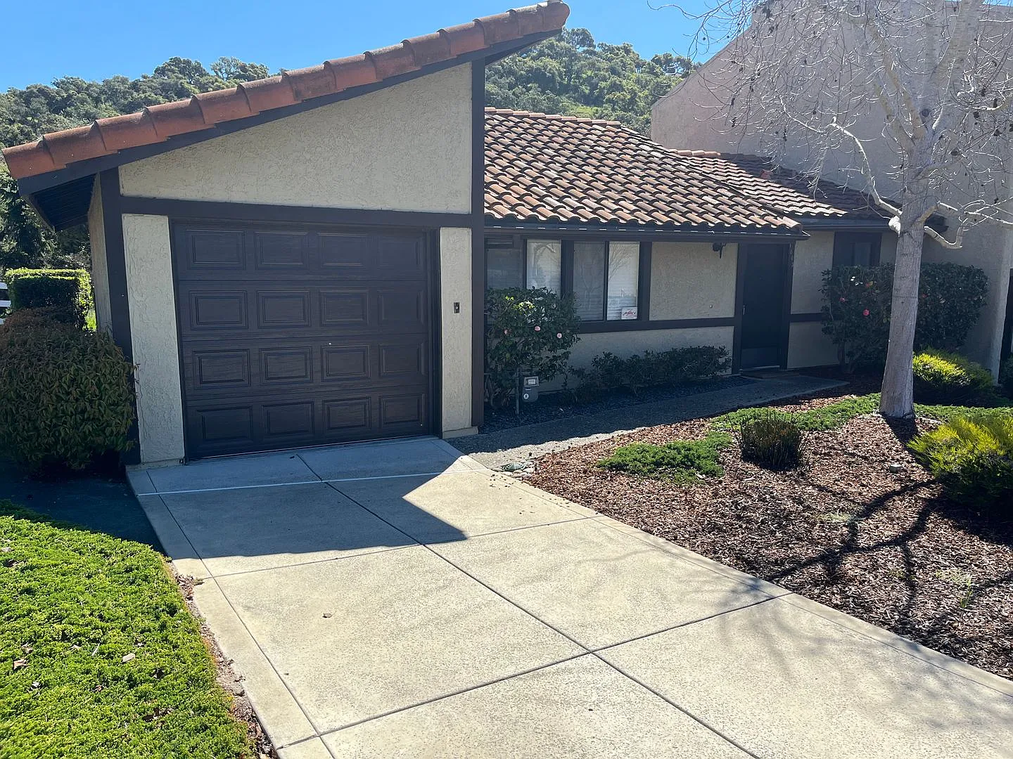 1003 Meadow Way — Photo 3