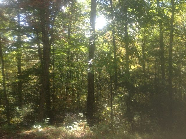 1st image of Lot 12 Woodsy Pine Trail